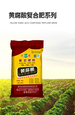 黄腐酸午夜小福利系列