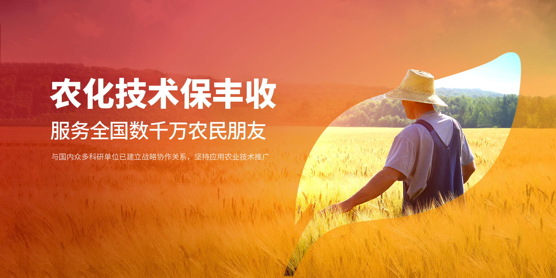 安阳午夜理论片新肥科技有限公司