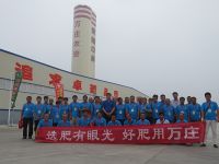 今天的午夜理论片