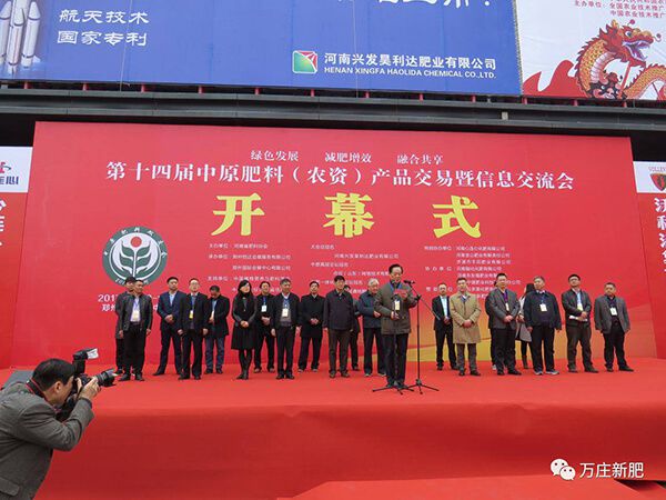 撸起袖子干，火了·我的午夜理论片！！！