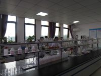 今天的午夜理论片