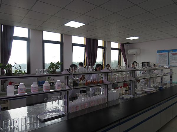 今天的午夜理论片