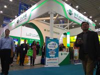 今天的午夜理论片