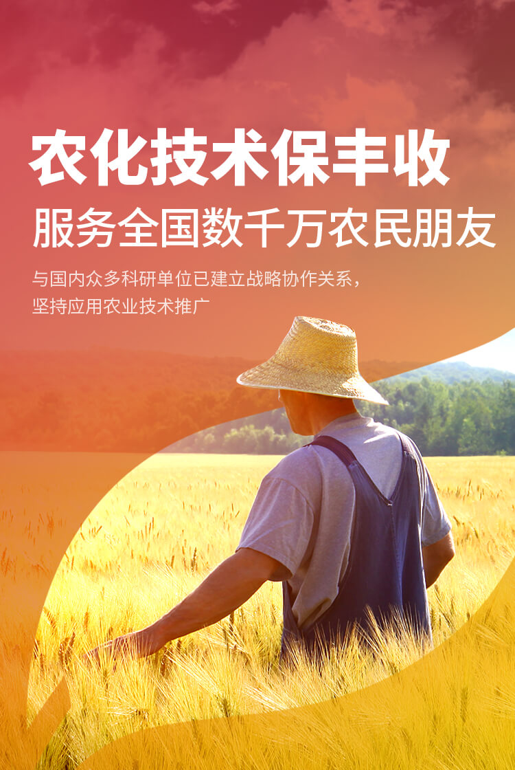 安阳午夜理论片新肥科技有限公司